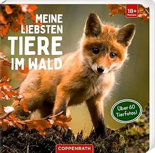 Meine Liebsten Tiere Im Wald ürün görseli 1