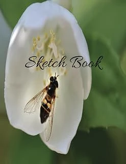 Independently Published Sketch Book: Notebook For Drawing, Writing, Painting, Sketching Or Doodling ürün görseli 1