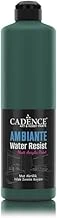 Cadence Ambiante Islak Zemin Boyası Aw14 Zümrüt Yeşili 500Ml + Katalizör 20Gr ürün görseli 1