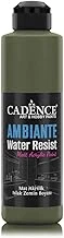 Cadence Ambiente Islak Zemi̇n Boyasi Aw-15 Cevi̇z 250Ml + Katali̇zör 10Gr ürün görseli 1