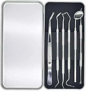 Valkyrie 6 Adet Metal Kutulu Paslanmaz Çelik Tartar Dil Temizleme Dental Ağız Bakım Seti ürün görseli 1