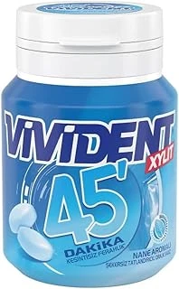Vivident 45 Dakika Nane Aromalı Şekersiz-Tatlandırıcılı Draje Sakız Kutu 67G ürün görseli 1