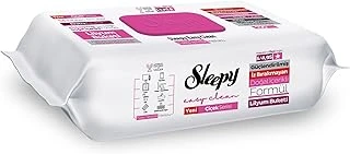 Sleepy Easy Clean Lilyum Buketi Yüzey Temizlik Havlusu Mendili 100 Yaprak ürün görseli 1