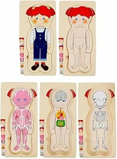 Tahta Puzzle 4X7 Parça Insan Vücudu ürün görseli 1