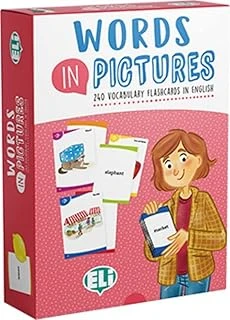 Words In Pictures: Illustrierte Lernkarten ürün görseli 1
