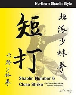Shaolin #6 Close Strike: The First Set Taught In The Northern Shaolin ürün görseli 1