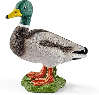Schleich Farm Erkek Ördek, Figür, ‎5 X 2.9 X 4.5 Cm, 3+ Yaş ürün görseli 1