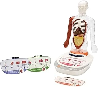 S00005280 Bi̇li̇m Set İnsan Vücudu Modeli̇ 23Prç -Sun ürün görseli 1