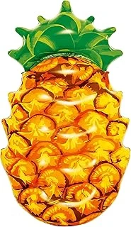 68.5" X 38"/1.74M X 96Cm Pineapple Lounge ürün görseli 1