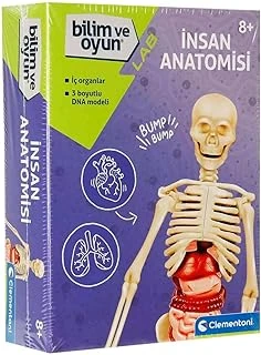 - 64297 - İlk Keşiflerim - İnsan Anatomisi ürün görseli 1