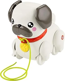 Fisher-Price Minik Dostumla Yürüyüş Sesli Hareketli Fisher-Price Fp Yürüyüş Arkadaşı Köpekçik Çekçekli Bebek Oyuncağı Htw94 ürün görseli 1