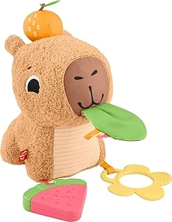 Fisher-Price 3 Ay Üzeri Bebekler Için Yumuşacık Obur Kapi Duyusal Gelişim Oyuncağı, Yenidoğanlar Için Dişlik Çıngırak, Hyr54 ürün görseli 1