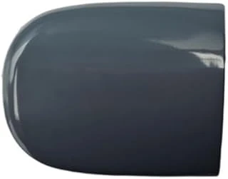 Ön Arka Uyumlu Dış Kapı Kolu Kapağı 3B4839879A Seat Leon Mk1 Ile Uyumlu 2000-2005 ürün görseli 1