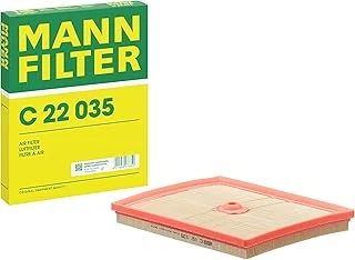 Mann Filter Hava Filtresi C 22 035 (Vw Group) ürün görseli 1