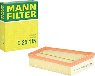 Mann Filter Hava Filtresi C 25 115 (Renault) ürün görseli 1