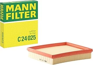 Mann Filter Hava Filtresi C 24 025 (Bmw) ürün görseli 1