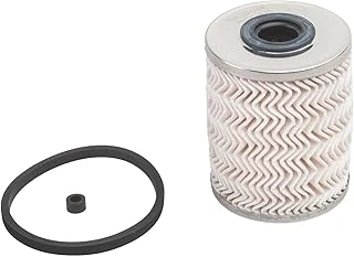 Purflux Yakıt Filtresi Renault Laguna Ii 1.9 Dci 01-07, Megane Ii 1.9 Dci 02-08, Ii 1.9 Dti 00, 2.5 D 98-01, 2.8 Dti 98-01 C493E ürün görseli 1