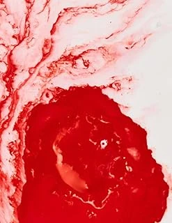 Bloody Cover Journal ürün görseli 1