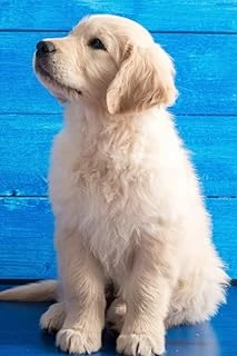 Labrador Journal ürün görseli 1