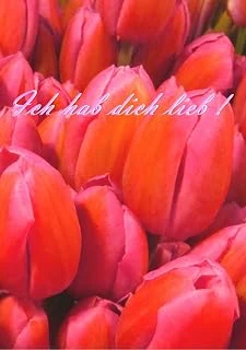 Tagebuch -Ich Hab Dich Lieb!: Din A5, Liniert ürün görseli 1
