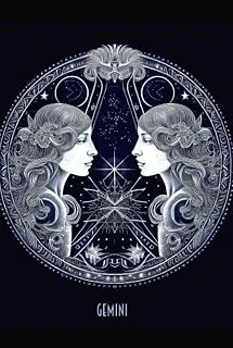 Gemini Journal ürün görseli 1