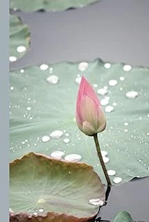 Water - Zen Journal ürün görseli 1