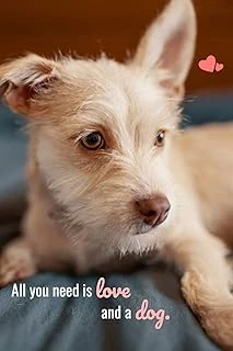 All You Need Is Love And A Dog.: Cute Scruffy Puppy Notebook For Dog Lovers And Dog Moms. 150 Blank, College Ruled Pages, 6" X 9". ürün görseli 1