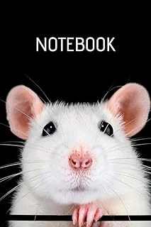 Notebook: Rat Notebook; Rat Care Notebook; Pet Rat Lover; Cute Rat Notebook; 6X9Inch Notebook With 108-Wide Lined Pages ürün görseli 1