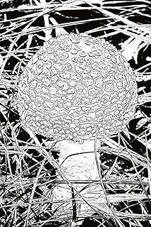 Notebook: Mushroom Journal 100 Blank Lined Page Matte Cover Notebook, College Ruled (6 X 9 Inch) Blank Lined Mushroom Cloud Cover Notebook ürün görseli 1