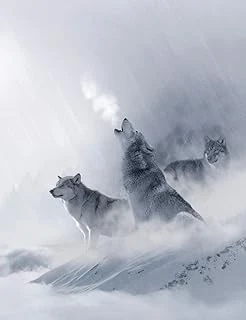 White Wolf Composition Notebook, Unruled Blank Sketch Paper: Creative Artist Drawing Sketchbook (Wolves) ürün görseli 1