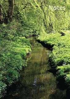 Notizbuch A4 - Kariert - Bach Im Grünen: Din A4 - Tagebuch - Bachlauf - Natur - Grün ürün görseli 1