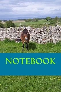 Notebook: Exmoor Pony Note Book ürün görseli 1