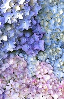 Hydrangea Flowers Notebook Journal ürün görseli 1