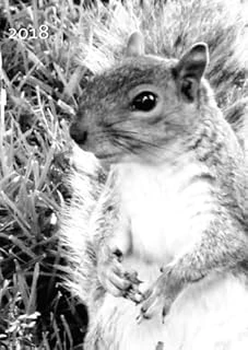 My Big Fat Calendar 2018 - Squirrel (Great Britain): 1 Day Per Din A4 Page, Lined ürün görseli 1