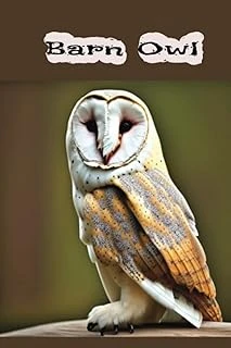 Independently Published Barn Owl Journal ürün görseli 1