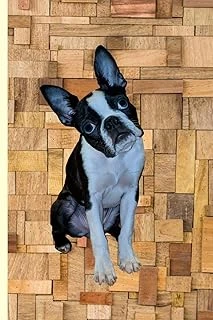 Notebook: Boston Terrier Blank Lined Journal Notebook ürün görseli 1