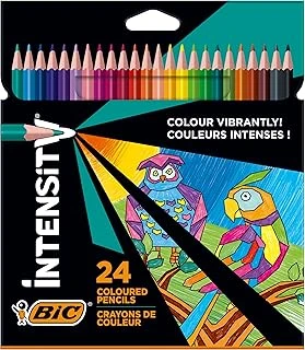 Bic Color Up Üçgen Kuru Boya Kalemi, 24'Lü Kutu ürün görseli 1