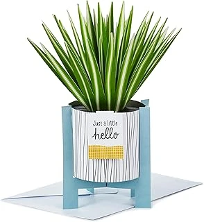 Hallmark Kağıt Harikası Tüm Etkinlikler, Nures Günü, Bahar Pop Up Kart (Saksı Örümcek Bitkisi) ürün görseli 1