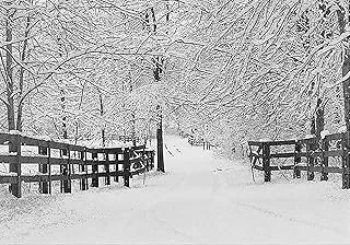 Winter Tracks Holiday Boxed Cards (Christmas Cards, Holiday Cards, Greeting Cards) (Small Holiday Card Series) ürün görseli 1