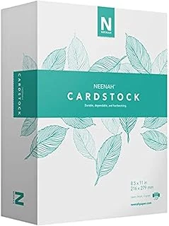 Neenah Vellum Bristol Kartvizit, Hafif, 325 Yaprak, 70Lb/147 Gsm, 94 Parlaklık, 8,5" X 11" - Daha Fazla Çarşak! (91633) ürün görseli 1