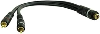 Parcbeny 690 1 Di̇şi̇ 2 Erkek 30 Cm Anfi̇ Y Kablo ürün görseli 1