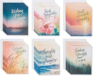 American Greetings Sempati Kartı Çeşitleri, Doğa (48 Adet) (6582248) ürün görseli 1