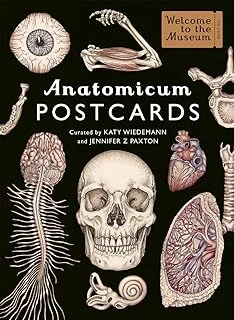 Anatomicum Postcard Box ürün görseli 1