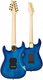 Glc-40Bl Profesyonel Elektro Gitar (Stand Gigbag Askı Capo Tuner Pena Kablo Yedek Tel) ürün görseli 1
