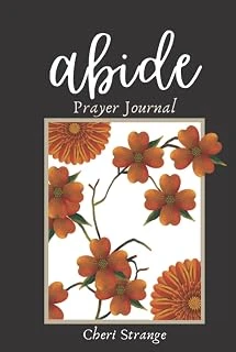 Abide Prayer Journal ürün görseli 1
