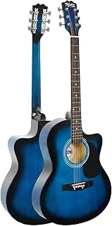 Rg-560Bl-Amp Amfili Elektro Akustik Gitar Full Set ürün görseli 1