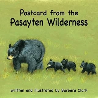 Postcard From The Pasayten Wilderness ürün görseli 1