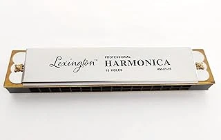 Lmhm0116 Mızıka 16 Delik Profesyonel Harmonica Kutulu ürün görseli 1