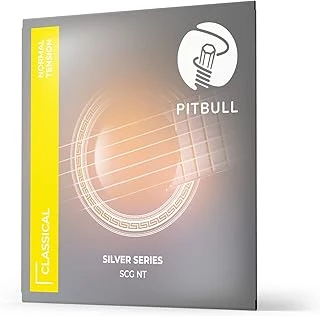 Pitbull Klasik Gitar Teli Silver Seri Normal Set Scg Nt ürün görseli 1