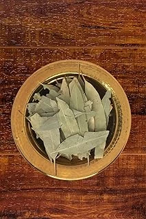 Karşı Köyden Okaliptüs Yaprağı, Eucalyptus Leaves, Eucalyptus Sp., 25 G ürün görseli 1